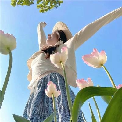 淑女绅士 在线观看封面
