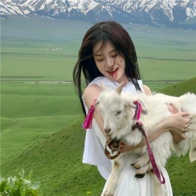 核武任务 在线观看封面